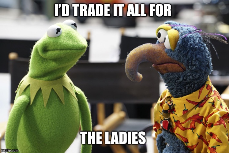 Luvismemes | I’D TRADE IT ALL FOR; THE LADIES | image tagged in you see gonzo | made w/ Imgflip meme maker