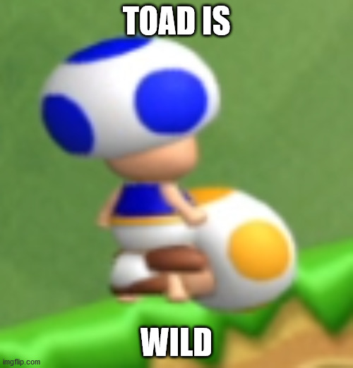 TOAD IS; WILD | image tagged in toad,mario,nintendo,fun,funny,sex | made w/ Imgflip meme maker