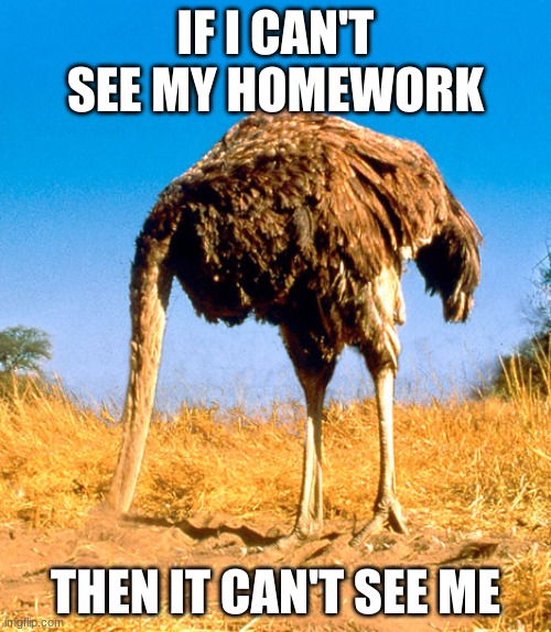 Denial Be Like | IF I CAN'T SEE MY HOMEWORK; THEN IT CAN'T SEE ME | image tagged in denial be like | made w/ Imgflip meme maker