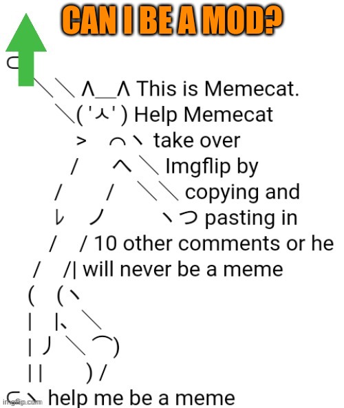 Memecat | CAN I BE A MOD? | image tagged in memecat | made w/ Imgflip meme maker