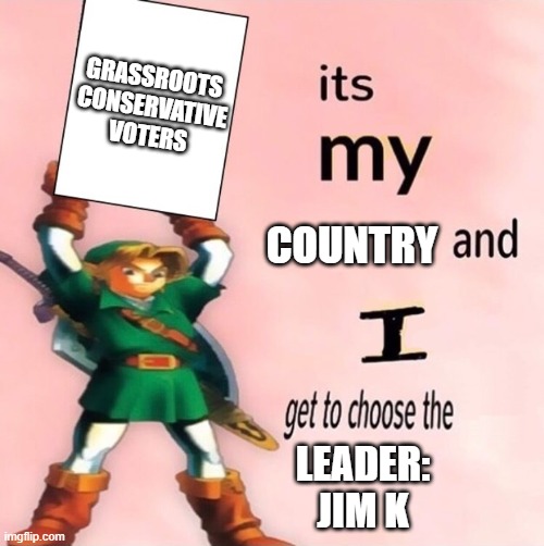 Jim K | GRASSROOTS 
CONSERVATIVE
VOTERS; COUNTRY; LEADER:
JIM K | image tagged in it's my  and i get to choose the | made w/ Imgflip meme maker