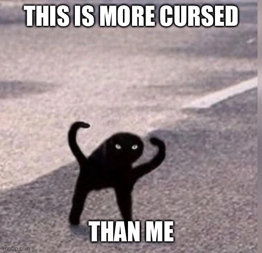 Cursed Cat | THIS IS MORE CURSED THAN ME | image tagged in cursed cat | made w/ Imgflip meme maker