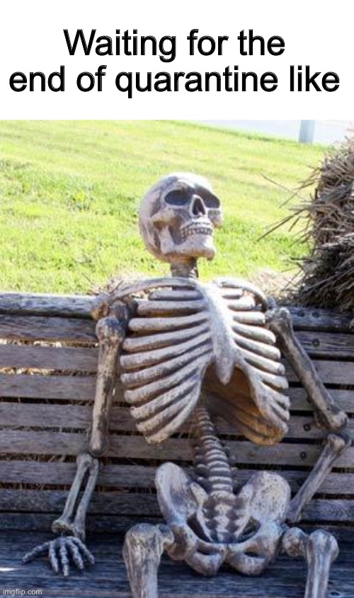 Waiting Skeleton Meme | Waiting for the end of quarantine like | image tagged in memes,waiting skeleton | made w/ Imgflip meme maker