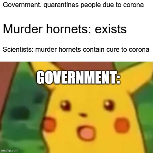 Surprised Pikachu | Government: quarantines people due to corona; Murder hornets: exists; Scientists: murder hornets contain cure to corona; GOVERNMENT: | image tagged in memes,surprised pikachu | made w/ Imgflip meme maker