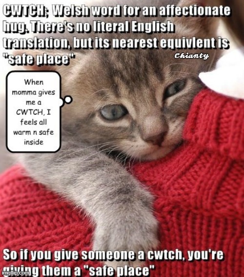 Cwtch | 𝓒𝓱𝓲𝓪𝓷𝓽𝔂 | image tagged in safe space | made w/ Imgflip meme maker