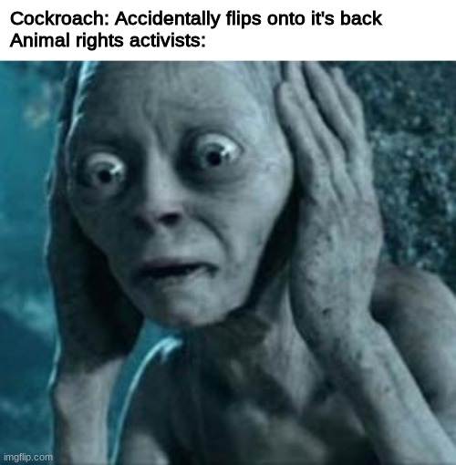 Scared gollum | Cockroach: Accidentally flips onto it's back
Animal rights activists: | image tagged in scared gollum,yup,oh wow are you actually reading these tags | made w/ Imgflip meme maker