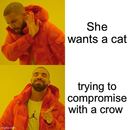 Calm down there with that cat chatter miss joe exotic, lets lure some crows to chill or get some ravens | She wants a cat; trying to compromise with a crow | image tagged in if you manage to get a bird instead of stupid cat,bravo | made w/ Imgflip meme maker