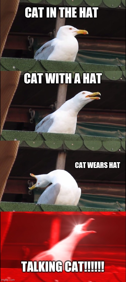 Inhaling Seagull Meme | CAT IN THE HAT; CAT WITH A HAT; CAT WEARS HAT; TALKING CAT!!!!!! | image tagged in memes,inhaling seagull | made w/ Imgflip meme maker