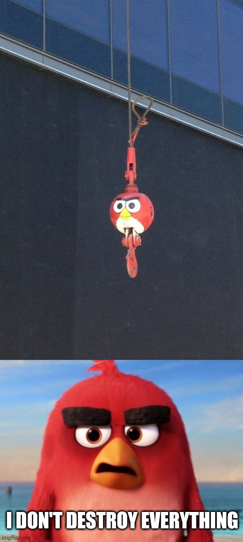 WRECKING BALL |  I DON'T DESTROY EVERYTHING | image tagged in angry birds,memes,wrecking ball,angry bird | made w/ Imgflip meme maker