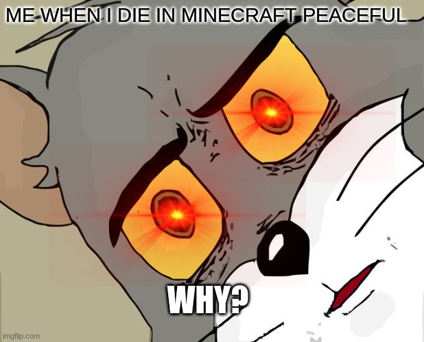 Unsettled Tom | ME WHEN I DIE IN MINECRAFT PEACEFUL; WHY? | image tagged in memes,unsettled tom | made w/ Imgflip meme maker