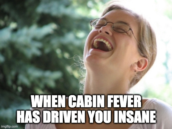 Woman laugh | WHEN CABIN FEVER HAS DRIVEN YOU INSANE | image tagged in woman laugh | made w/ Imgflip meme maker