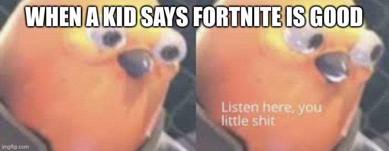 Listen here you little shit bird | WHEN A KID SAYS FORTNITE IS GOOD | image tagged in listen here you little shit bird | made w/ Imgflip meme maker