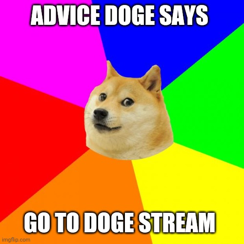 Advice Doge Meme | ADVICE DOGE SAYS; GO TO DOGE STREAM | image tagged in memes,advice doge | made w/ Imgflip meme maker