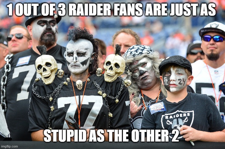 Raider Life |  1 OUT OF 3 RAIDER FANS ARE JUST AS; STUPID AS THE OTHER 2 | image tagged in raiders | made w/ Imgflip meme maker