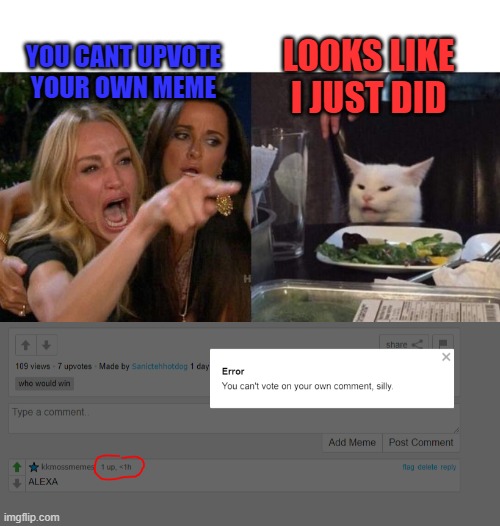 I CANT HUH? |  LOOKS LIKE I JUST DID; YOU CANT UPVOTE YOUR OWN MEME | image tagged in memes,woman yelling at cat | made w/ Imgflip meme maker