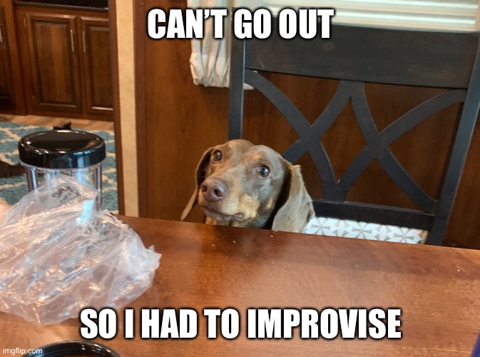 Quarantined and lonely | CAN’T GO OUT; SO I HAD TO IMPROVISE | image tagged in lonely,puppy | made w/ Imgflip meme maker