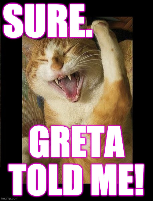 Laughing Cat | SURE. GRETA TOLD ME! | image tagged in laughing cat | made w/ Imgflip meme maker