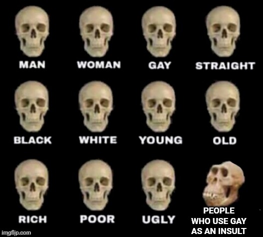 idiot skull | PEOPLE WHO USE GAY AS AN INSULT | image tagged in idiot skull | made w/ Imgflip meme maker