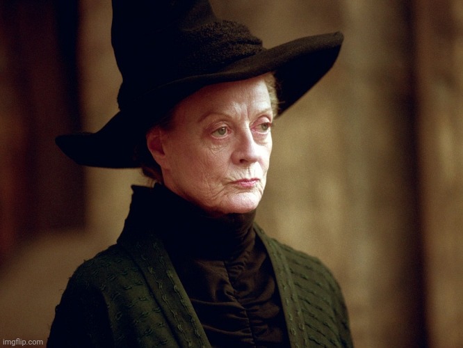 Unamused Mcgonagall | image tagged in unamused mcgonagall | made w/ Imgflip meme maker