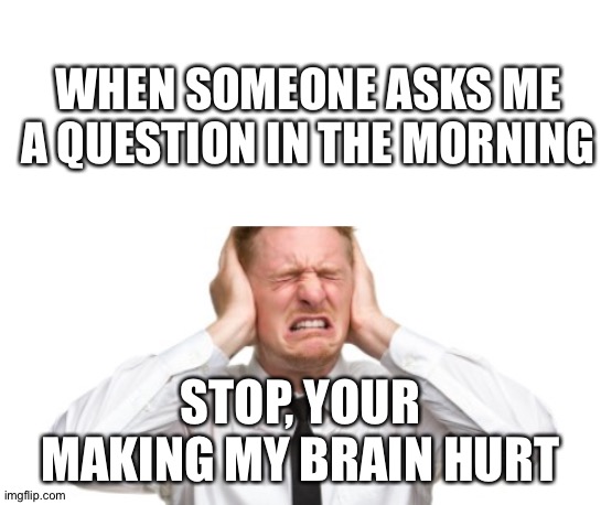 WHEN SOMEONE ASKS ME A QUESTION IN THE MORNING; STOP, YOUR MAKING MY BRAIN HURT | image tagged in blank white template,stop,y u no | made w/ Imgflip meme maker