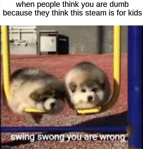 swing swong | when people think you are dumb because they think this steam is for kids | image tagged in swing swong you are wrong | made w/ Imgflip meme maker