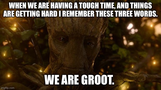 I Was Groot | WHEN WE ARE HAVING A TOUGH TIME, AND THINGS ARE GETTING HARD I REMEMBER THESE THREE WORDS. WE ARE GROOT. | image tagged in i was groot | made w/ Imgflip meme maker