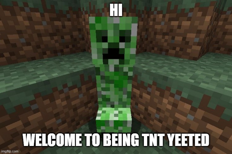 creeper aww man | HI WELCOME TO BEING TNT YEETED | image tagged in creeper aww man | made w/ Imgflip meme maker