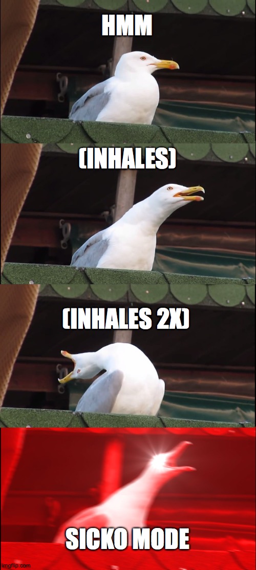 Inhaling Seagull Meme | HMM; (INHALES); (INHALES 2X); SICKO MODE | image tagged in memes,inhaling seagull | made w/ Imgflip meme maker