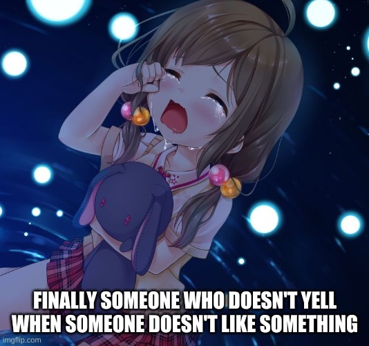 crying loli | FINALLY SOMEONE WHO DOESN'T YELL WHEN SOMEONE DOESN'T LIKE SOMETHING | image tagged in crying loli | made w/ Imgflip meme maker