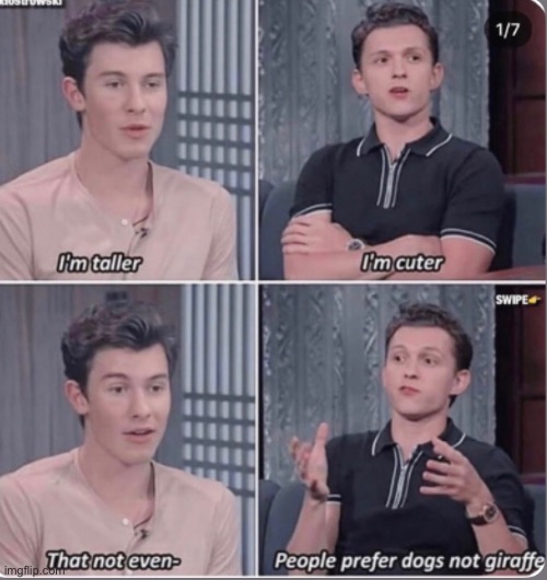 Tom Holland vs Shawn Mendes | image tagged in tom holland,shawn mendes | made w/ Imgflip meme maker