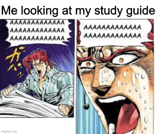 Kakyoin screaming | Me looking at my study guide | image tagged in kakyoin screaming | made w/ Imgflip meme maker