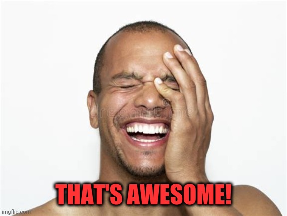 Laughing guy | THAT'S AWESOME! | image tagged in laughing guy | made w/ Imgflip meme maker