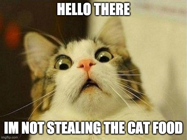 Scared Cat Meme | HELLO THERE; IM NOT STEALING THE CAT FOOD | image tagged in memes,scared cat | made w/ Imgflip meme maker