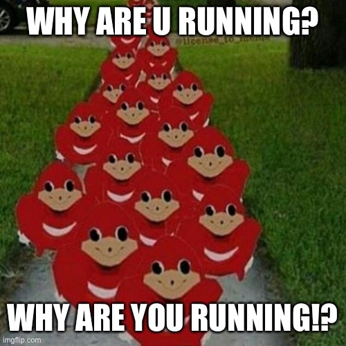 Ugandan knuckles army | WHY ARE U RUNNING? WHY ARE YOU RUNNING!? | image tagged in ugandan knuckles army | made w/ Imgflip meme maker