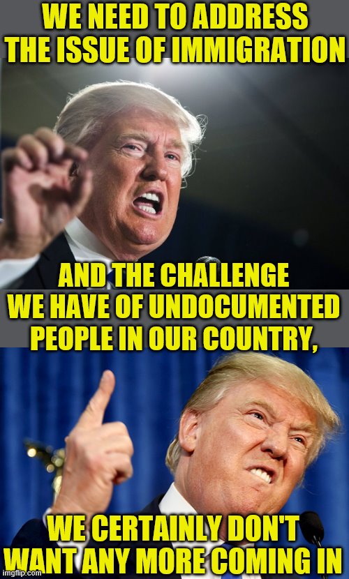 Oops. Used the wrong image! | WE NEED TO ADDRESS THE ISSUE OF IMMIGRATION; AND THE CHALLENGE WE HAVE OF UNDOCUMENTED PEOPLE IN OUR COUNTRY, WE CERTAINLY DON'T WANT ANY MORE COMING IN | image tagged in donald trump,memes,political meme,illegal immigration,nancy pelosi | made w/ Imgflip meme maker