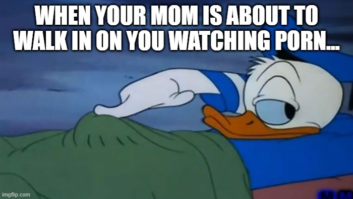 Push It Down... | WHEN YOUR MOM IS ABOUT TO WALK IN ON YOU WATCHING PORN... | image tagged in sex joke | made w/ Imgflip meme maker