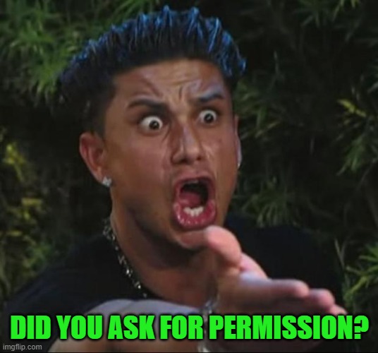 DJ Pauly D Meme | DID YOU ASK FOR PERMISSION? | image tagged in memes,dj pauly d | made w/ Imgflip meme maker