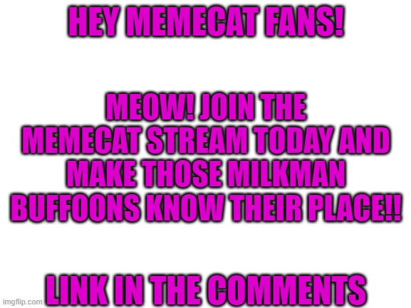 Blank White Template | HEY MEMECAT FANS! MEOW! JOIN THE MEMECAT STREAM TODAY AND MAKE THOSE MILKMAN BUFFOONS KNOW THEIR PLACE!! LINK IN THE COMMENTS | image tagged in blank white template | made w/ Imgflip meme maker