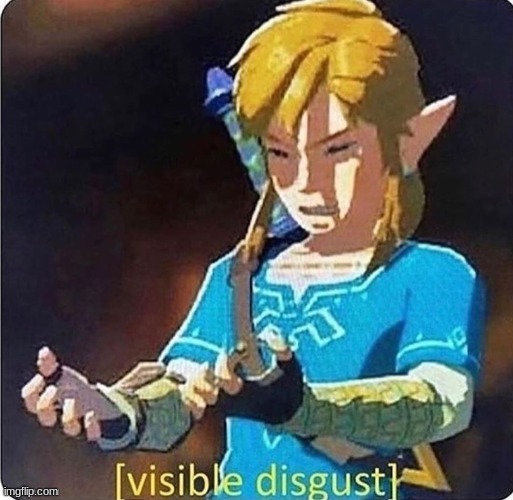 Link~ Visible disgust | image tagged in link visible disgust | made w/ Imgflip meme maker