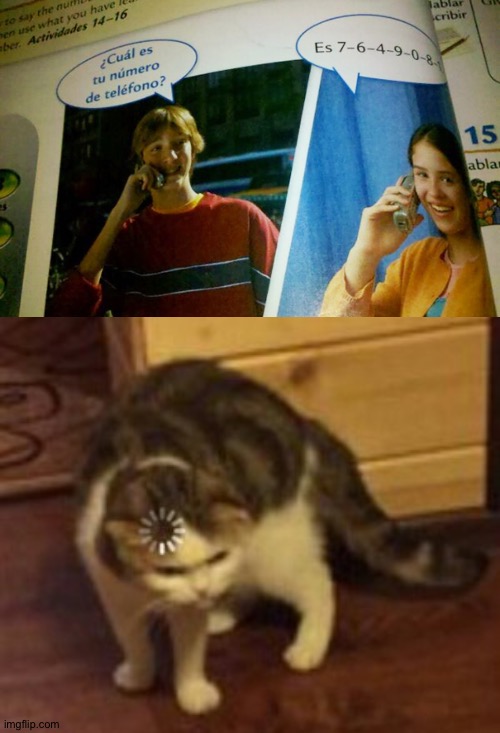 Something Doesn’t Seem Right... | image tagged in loading cat,confusion,confused,spanish,phone number,wait what | made w/ Imgflip meme maker