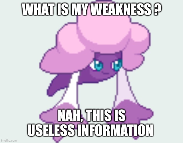 WHAT IS MY WEAKNESS ? NAH, THIS IS USELESS INFORMATION | image tagged in wierd | made w/ Imgflip meme maker