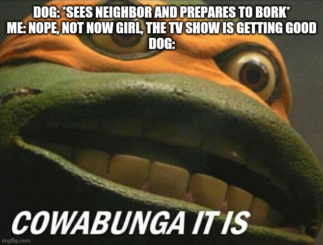Cowabunga it is | DOG: *SEES NEIGHBOR AND PREPARES TO BORK*
ME: NOPE, NOT NOW GIRL, THE TV SHOW IS GETTING GOOD
DOG: | image tagged in cowabunga it is | made w/ Imgflip meme maker