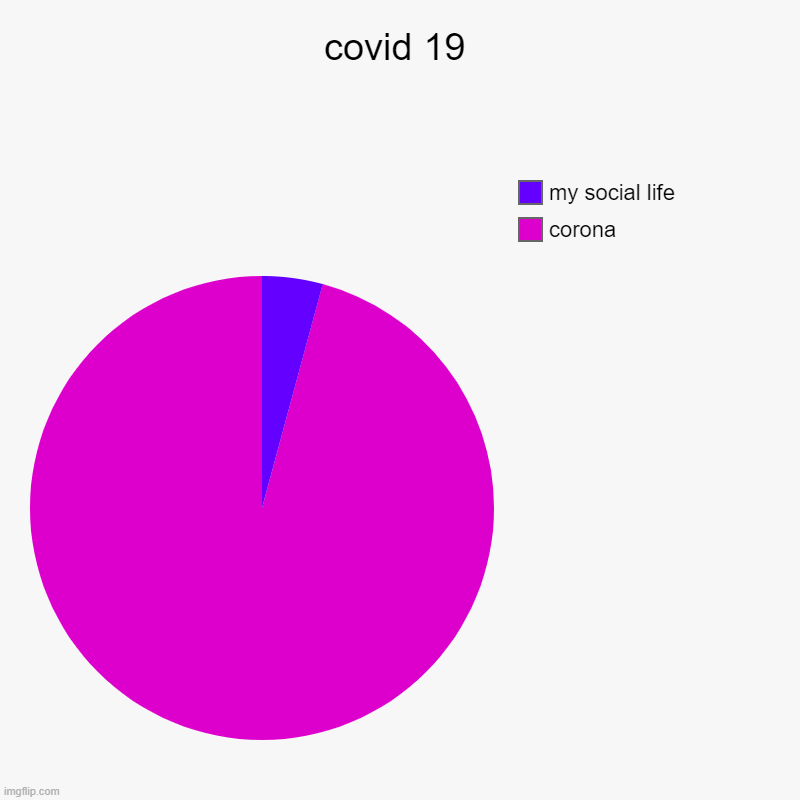 covid 19 | corona, my social life | image tagged in charts,pie charts | made w/ Imgflip chart maker