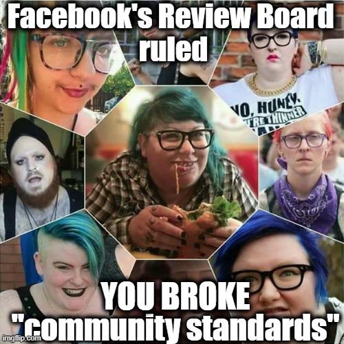 A Jury of Your Peers??? | Facebook's Review Board 
ruled; YOU BROKE; "community standards" | image tagged in politics,political meme,liberals,liberal hypocrisy,liberalism,triggered | made w/ Imgflip meme maker
