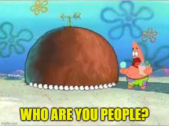 WHO ARE YOU PEOPLE? | WHO ARE YOU PEOPLE? | image tagged in who are you people | made w/ Imgflip meme maker