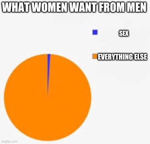 Pie Chart Meme | WHAT WOMEN WANT FROM MEN SEX EVERYTHING ELSE | image tagged in pie chart meme | made w/ Imgflip meme maker