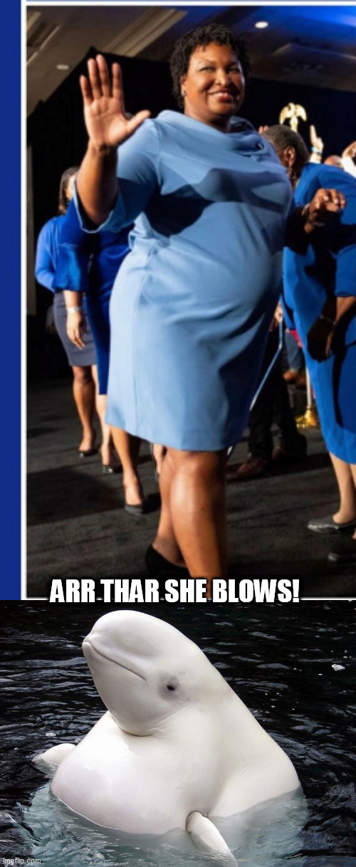 ARR THAR SHE BLOWS! | image tagged in fat whale,fatazz | made w/ Imgflip meme maker