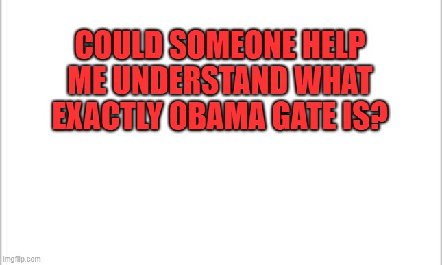 white background | COULD SOMEONE HELP ME UNDERSTAND WHAT EXACTLY OBAMA GATE IS? | image tagged in white background | made w/ Imgflip meme maker