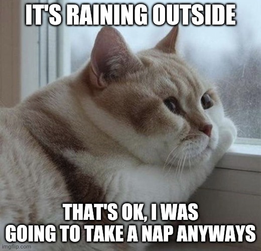 Well, Chonk Cats Hate Getting Wet | IT'S RAINING OUTSIDE; THAT'S OK, I WAS GOING TO TAKE A NAP ANYWAYS | image tagged in solemn chonk | made w/ Imgflip meme maker