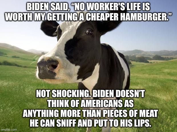 How can you have any pudding if you don’t eat your meat, Biden?! | BIDEN SAID, “NO WORKER'S LIFE IS WORTH MY GETTING A CHEAPER HAMBURGER.”; NOT SHOCKING. BIDEN DOESN’T THINK OF AMERICANS AS ANYTHING MORE THAN PIECES OF MEAT HE CAN SNIFF AND PUT TO HIS LIPS. | image tagged in cow,memes,sexual assault,hair,food,burger | made w/ Imgflip meme maker